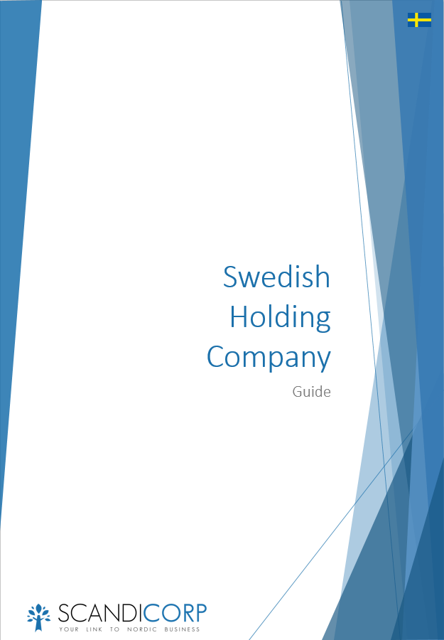 Scandicorp Swedish Holding Company Guide